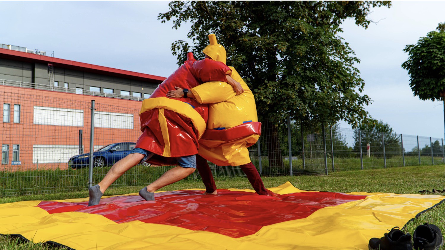 sumo walka